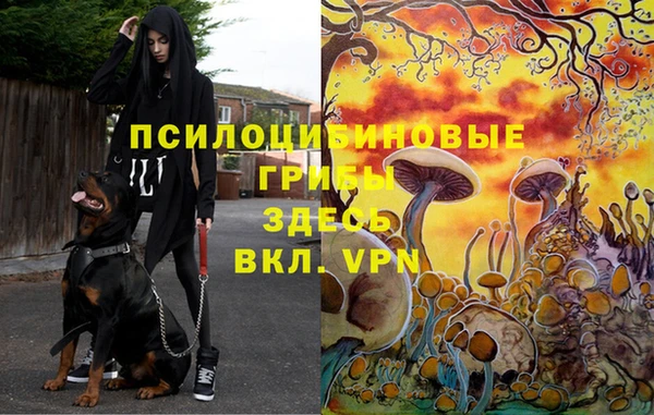 ECSTASY Зерноград