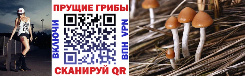 Галлюциногенные грибы мухоморы  Купить закладки  Обнинск 